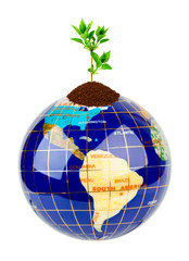 Globe and plant