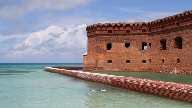 Snorkeler At Fort Jefferson