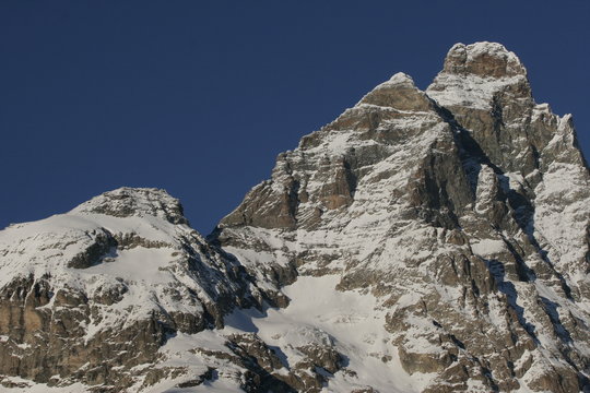 Il cervino e la testa del leone- Matterhorn