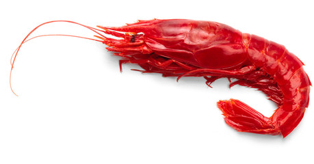 Gambero di mare