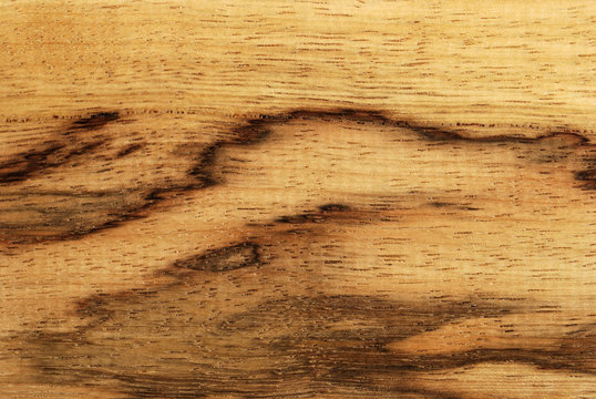 Beautiful  african spalted wood (frak&egrave; or limba)