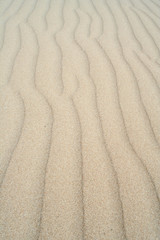 Sand detail