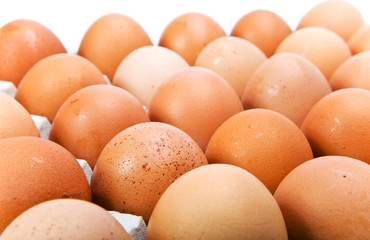 Eggs on white background