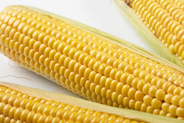 Fresh corn vegetable
