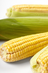 Fresh corn vegetable