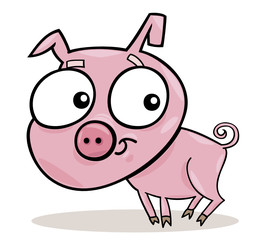 cute piggy