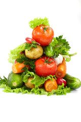 fresh vegetables on the white background