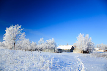 Winter rural landscape.