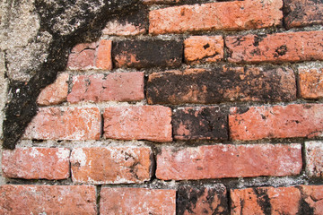 Old Brick wall
