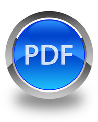 PDF blue button