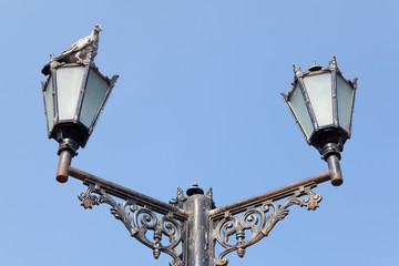 Fototapeta na wymiar pigeon and lamps
