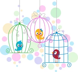Cercles muraux Oiseaux en cages Amoureux