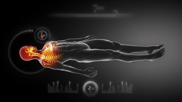 Human body skeleton x-ray scan