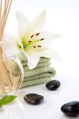 Aromatherapy spa set