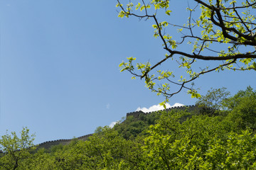 Spring Mutianyu Section Great Wall Near Beijing, China