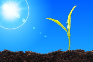 growth concept