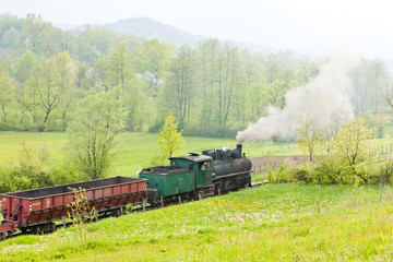 Obraz premium narrow gauge railway, Banovici, Bosnia and Hercegovina