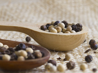 white and black pepper in the spoons