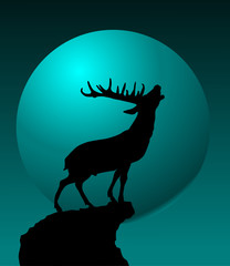 deer and moon