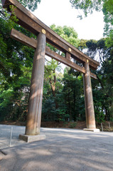 Japanese entrance gate on a sunny day