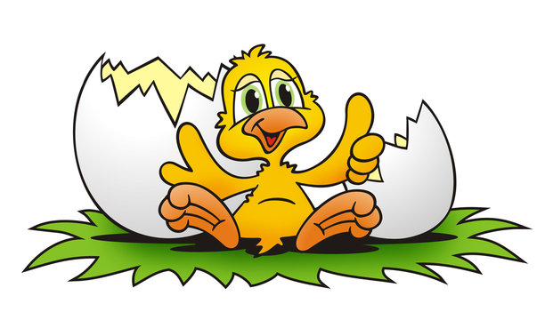 Easter Chick Birth