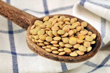 Cuiller de lentilles vertes