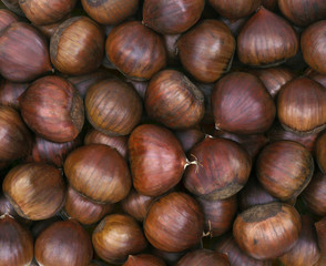 Marrons