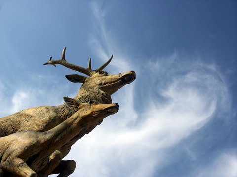 France, chateau de Sceaux : Le cerf et la biche