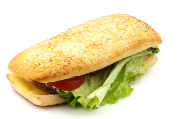 long senvich on white plate