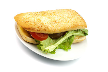 long senvich on white plate