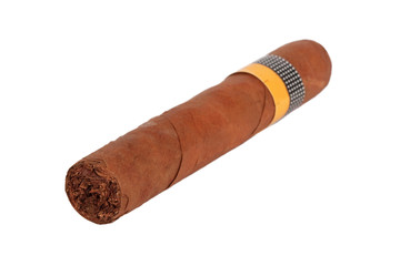 Cigar