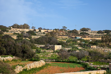 Fototapeta na wymiar Pole na typowej gruntów Malta