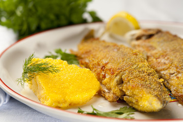 Baked rainbow trout with polenta