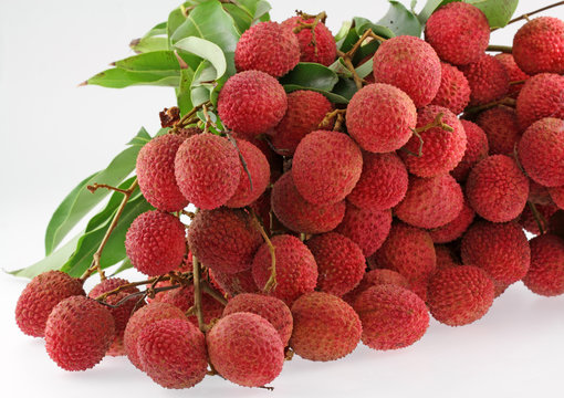 litchi, letchi, litchis, letchis, letchee, letchees