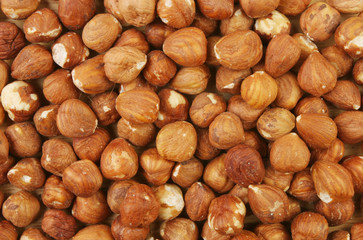 Hazel nuts