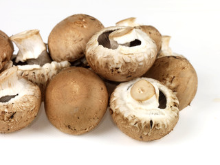 Chestnut Mushrooms