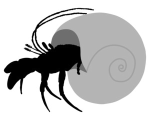Einsiedlerkrebs Silhouette