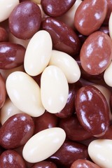 Almonds in chocolate and yogurt