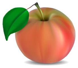 fresh pink apple with green leaf