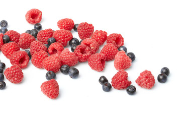 berries on white background
