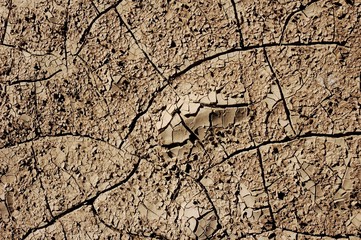 Cracked earth