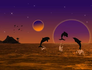 Fotobehang Dolfijnen Prachtig landschap bij zonsondergang