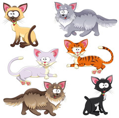 Family of cats. Vector animal characters. Isolated objects