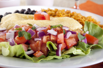 Close Up Salad and Burrito Meal