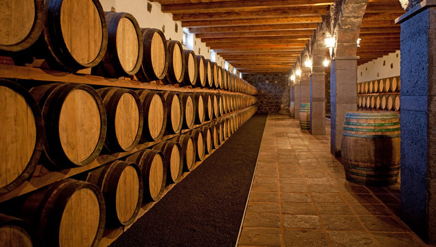 Wine cellar at a Bodega on Lanzarote