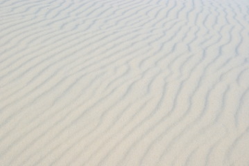 Düne Detail - dune detail 03