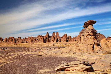 Abwaschbare Fototapete Sandsteinfelsen in der Wüste Sahara © Dmitry Pichugin