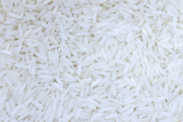 close up of rice grain