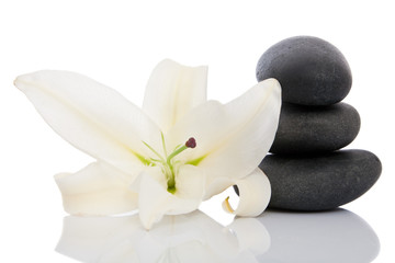 Therapeutic stones with lily flower