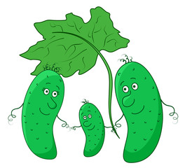 Cucumber, parents with child